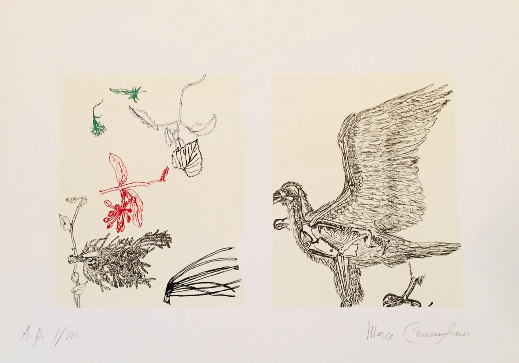 Cunningham, Merce. (1919-2009); Untitled (Screenprint for the Whitney Biennial), 1993