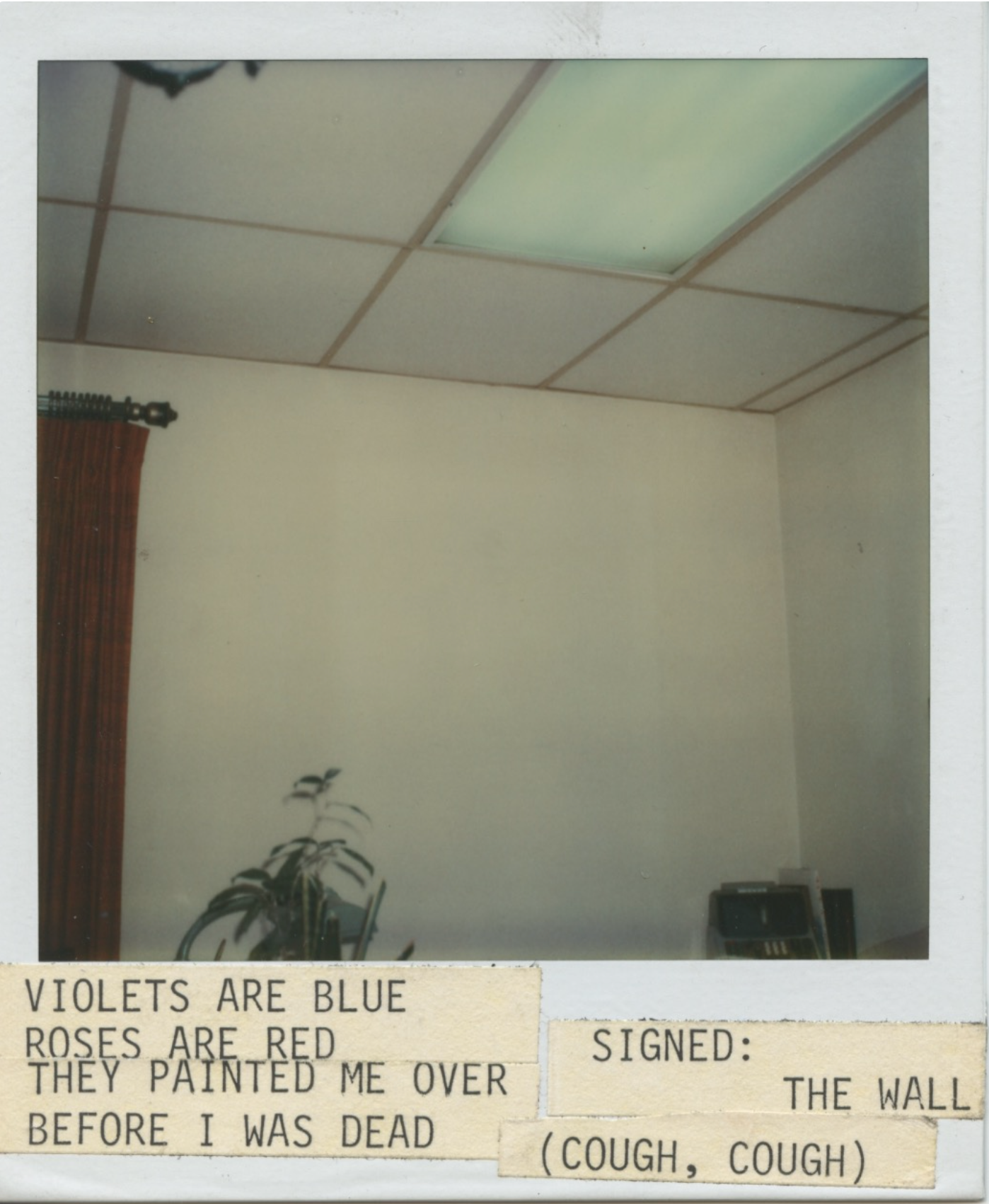 [Violets Are Blue] Polaroid Photograph with Poem